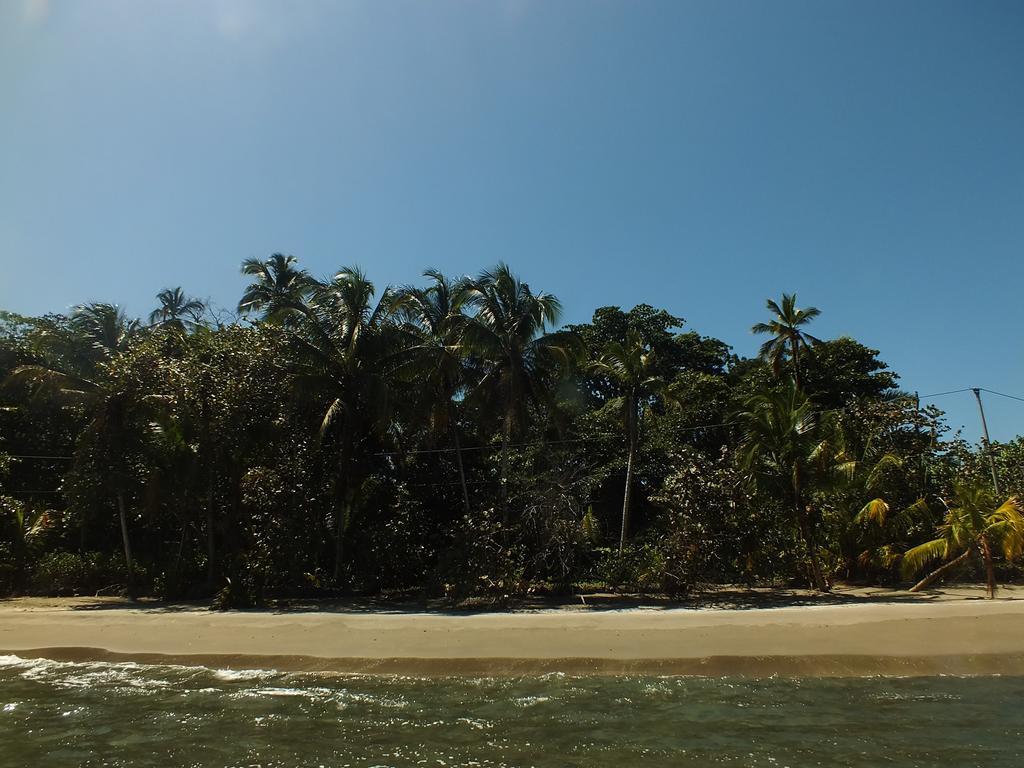 Cabinas Caribe Luna Cahuita Kültér fotó