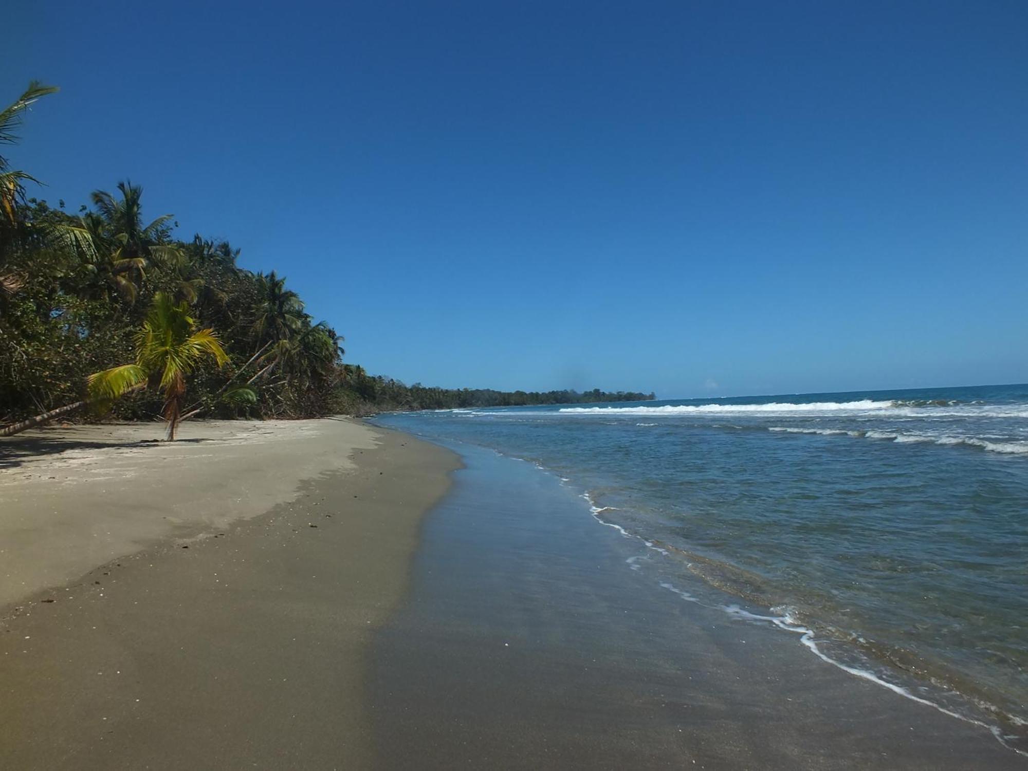 Cabinas Caribe Luna Cahuita Kültér fotó