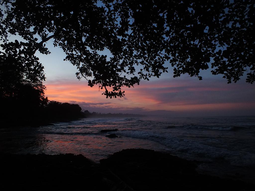 Cabinas Caribe Luna Cahuita Kültér fotó