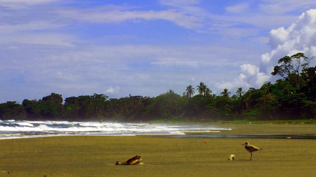 Cabinas Caribe Luna Cahuita Kültér fotó