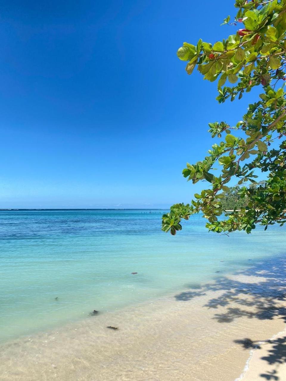 Cabinas Caribe Luna Cahuita Kültér fotó
