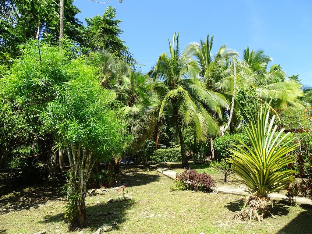 Cabinas Caribe Luna Cahuita Kültér fotó